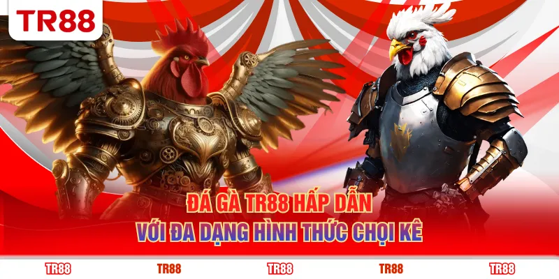 Đá gà TR88 hấp dẫn với đa dạng hình thức chọi kê