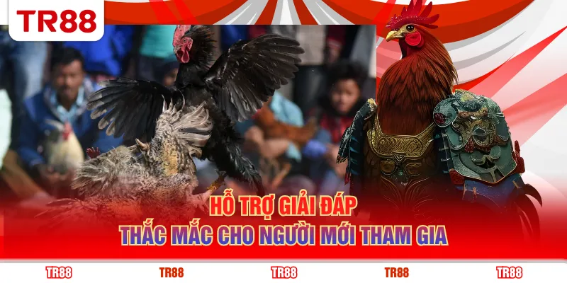 Hỗ trợ giải đáp thắc mắc cho người mới tham gia